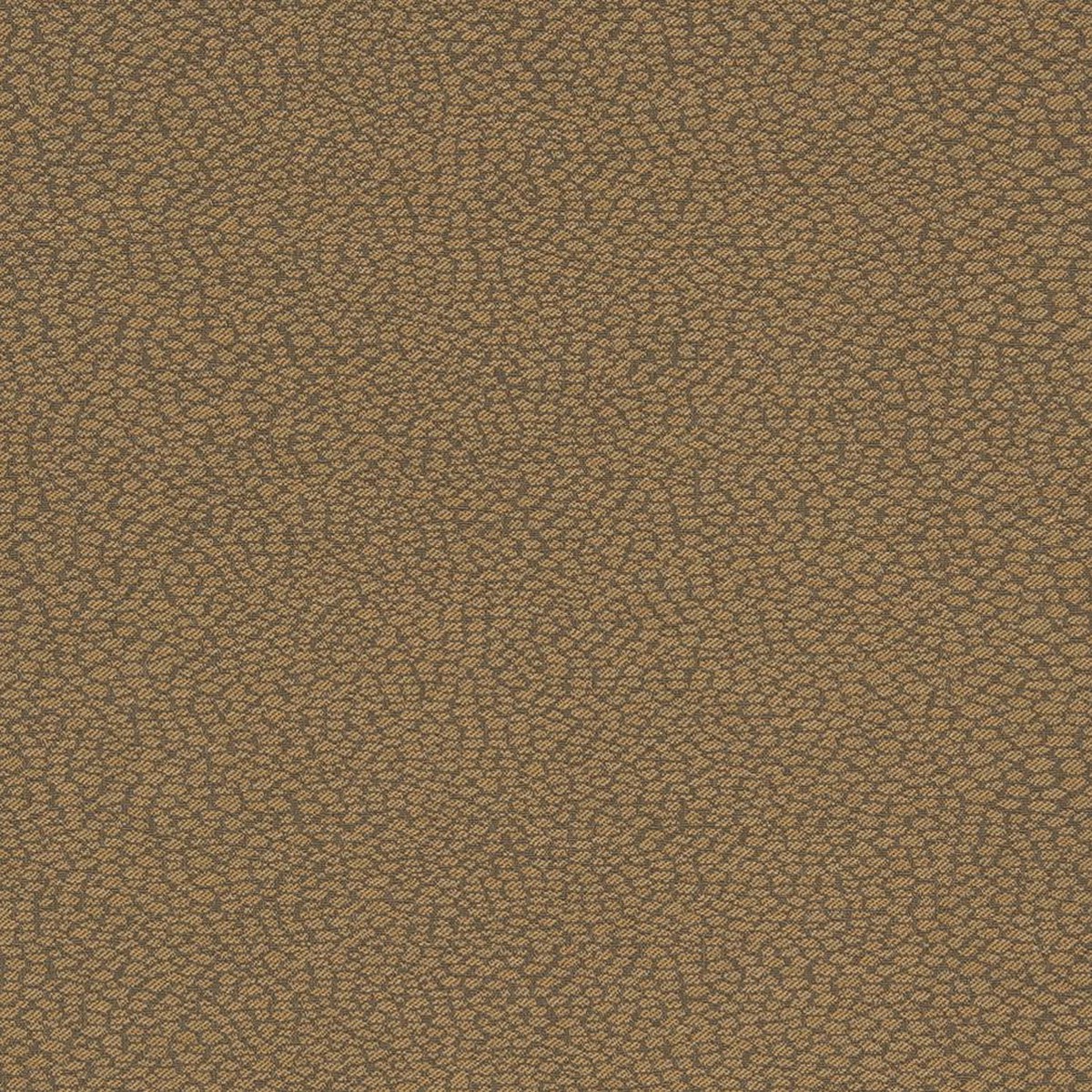 charlotte-d896-pebble-mocha-fabric-by-the-yard