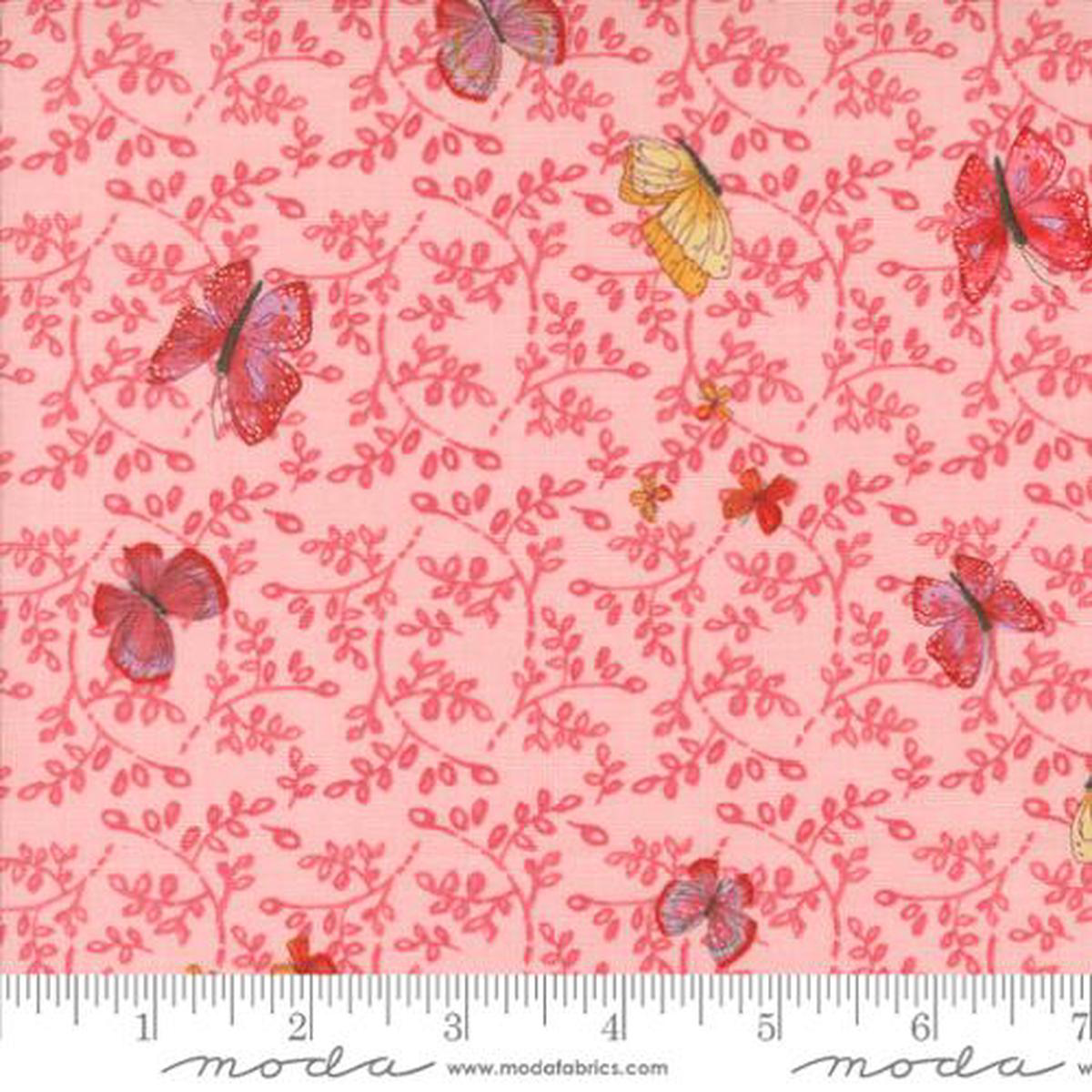 superbloom-carnation-48784-19