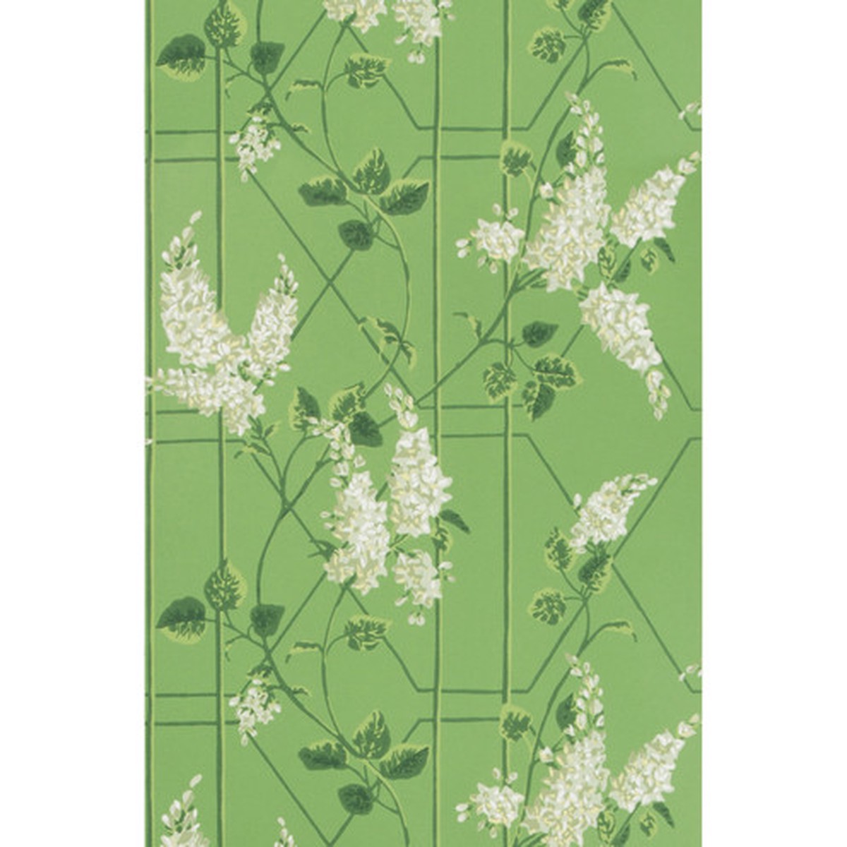 wisteria-sage-leaf-green-by-cole-son