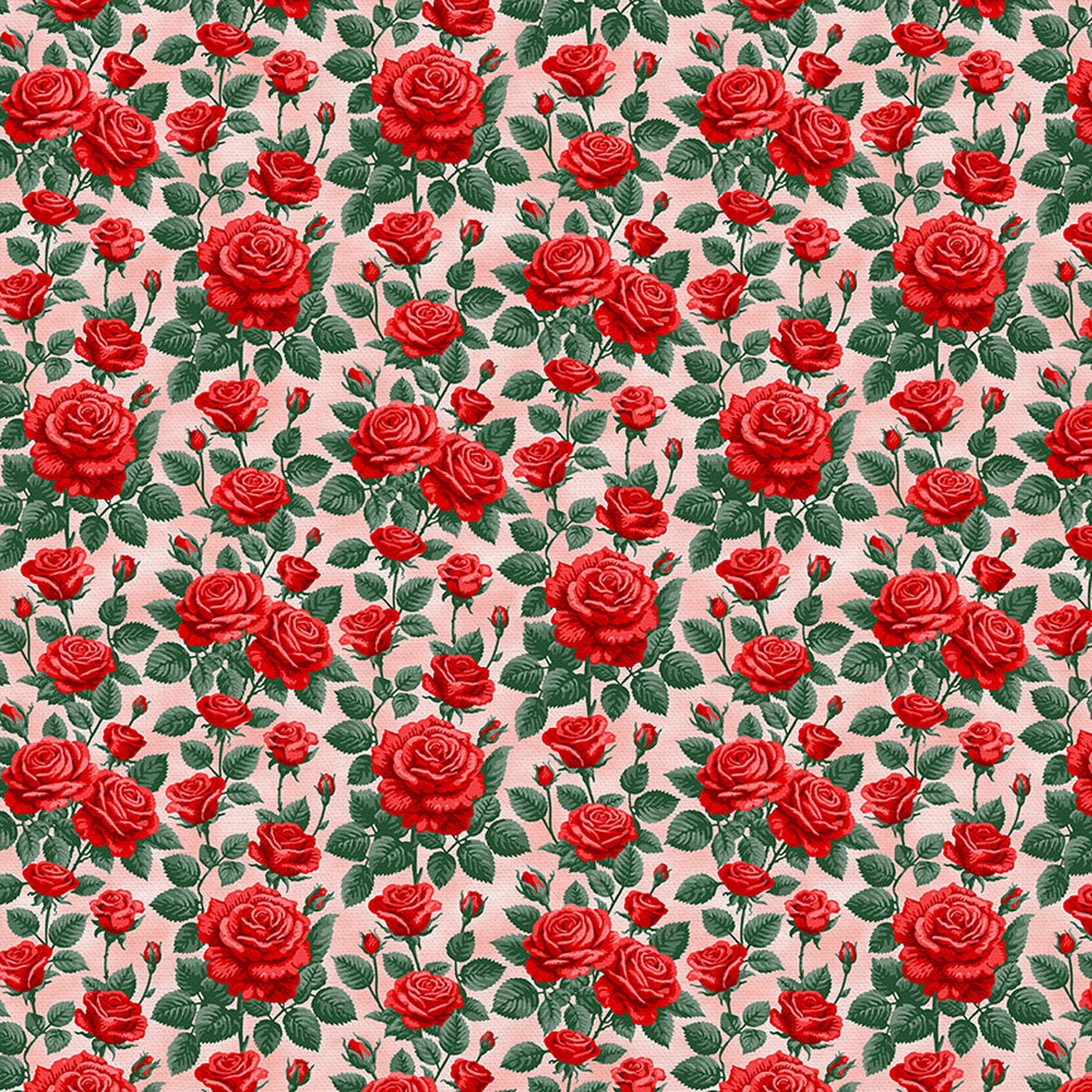 rose-stems-red-pink