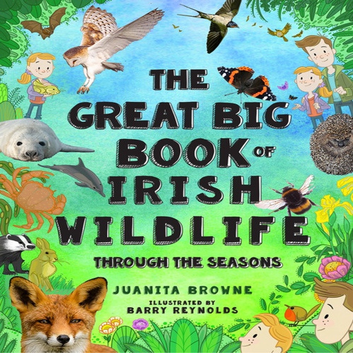 the-great-big-book-of-irish-wildlife-by-juanita-browne