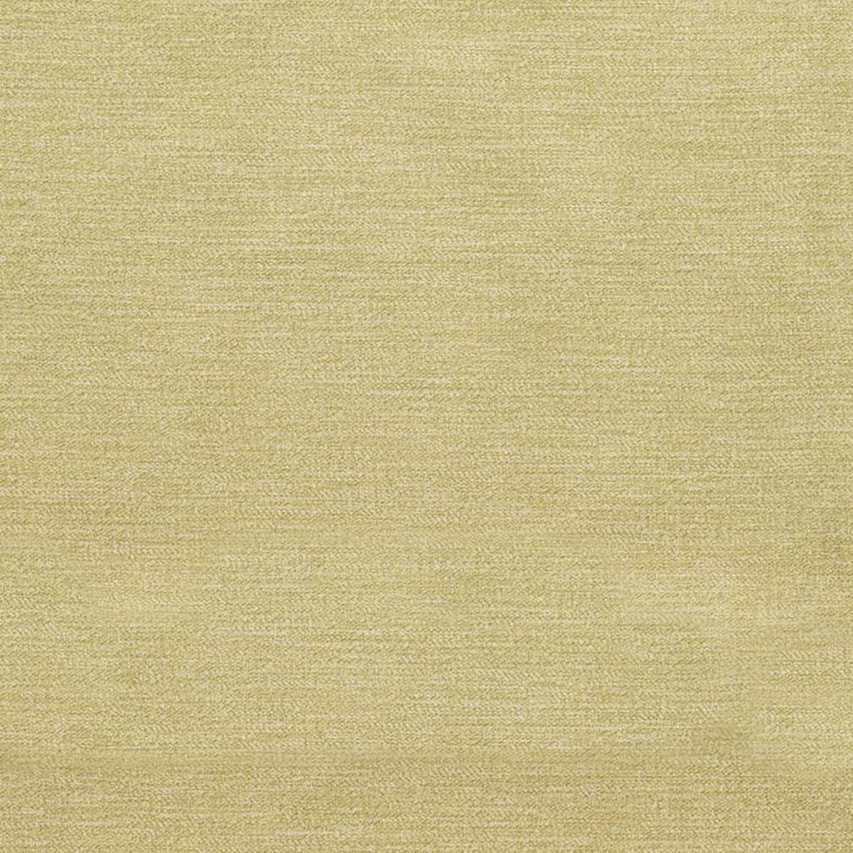 d3841-lime