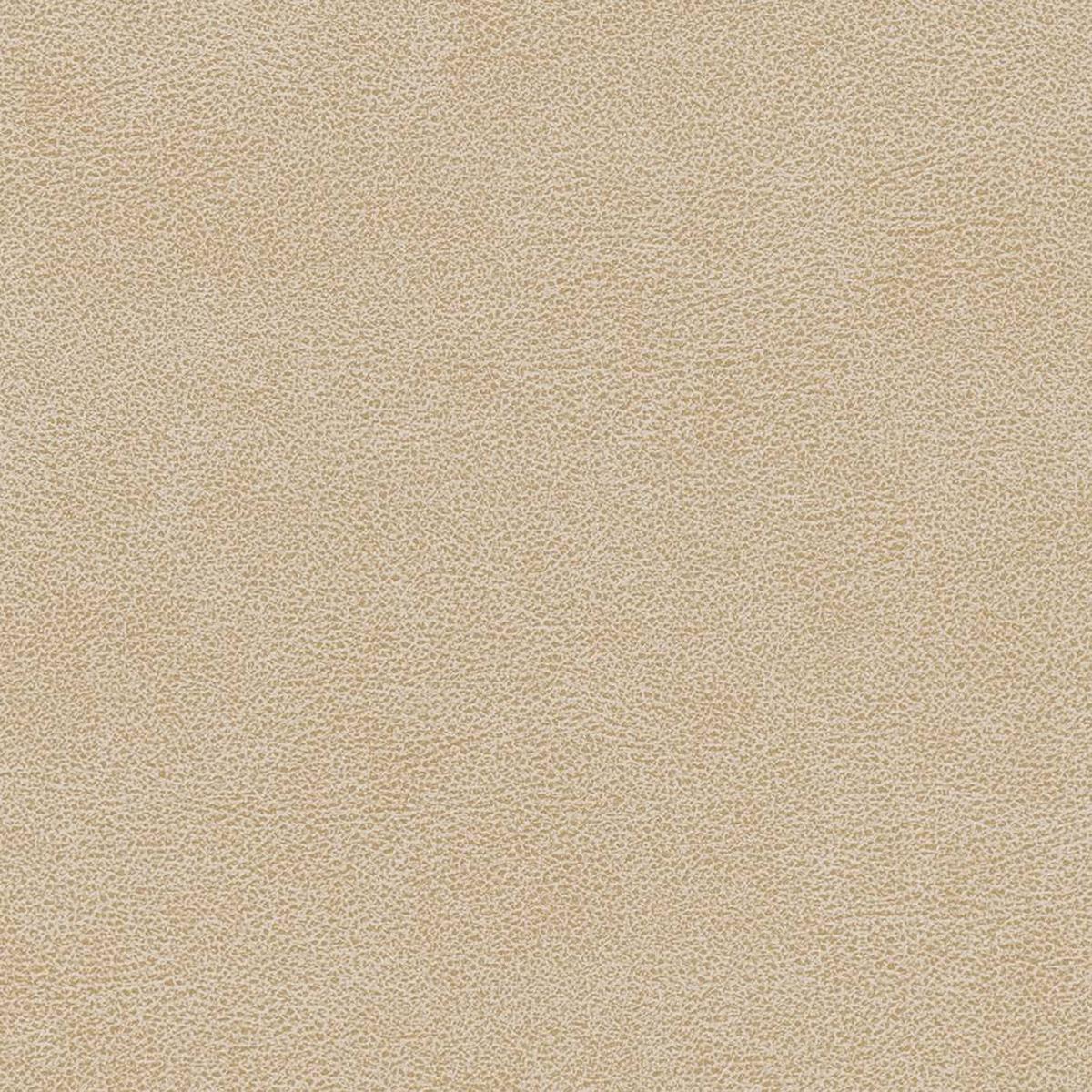 charlotte-v502-sand-dollar-fabric-by-the-yard-sand-dollar