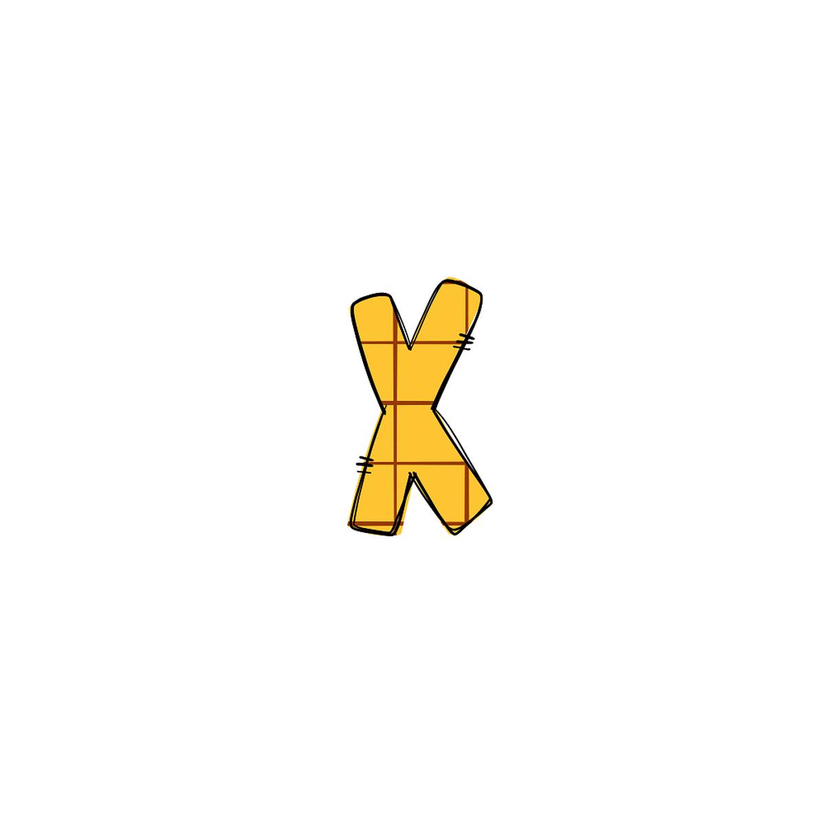 western-cowboy-x-plaid-fabric-panel