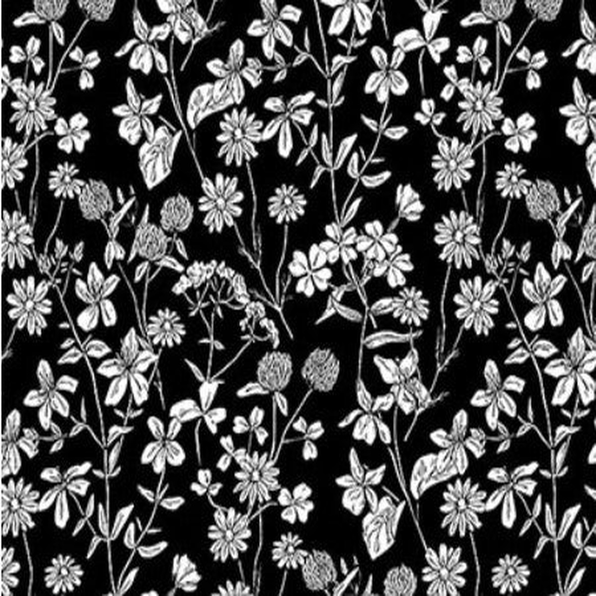 nature-s-sketchbook-meadow-flowers-28527-99