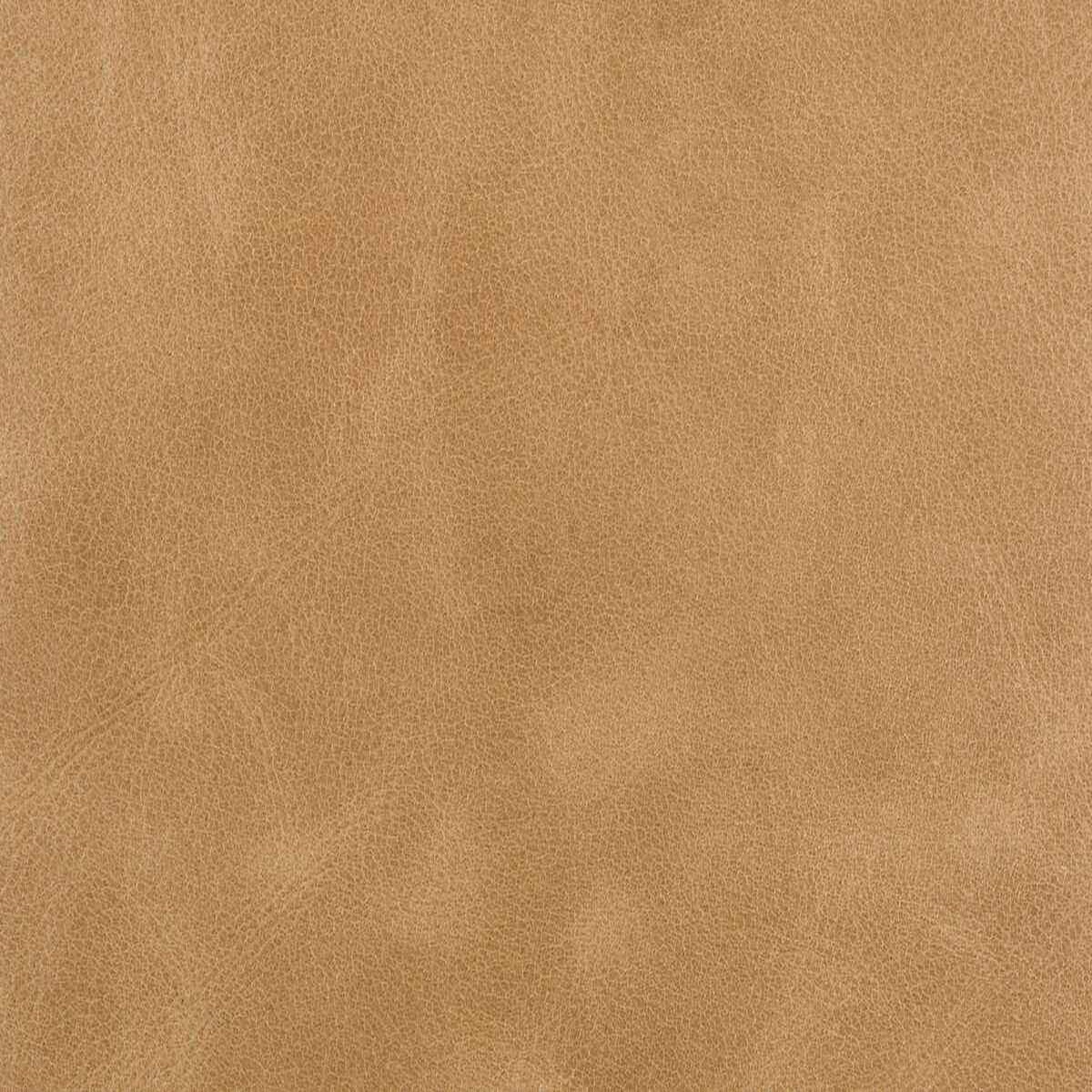 lbernscotch0-bern-scotch-kravet-couture-fabric