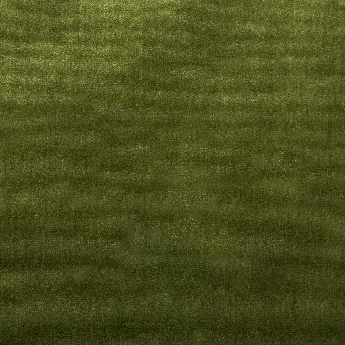 duchess-velvet-olive