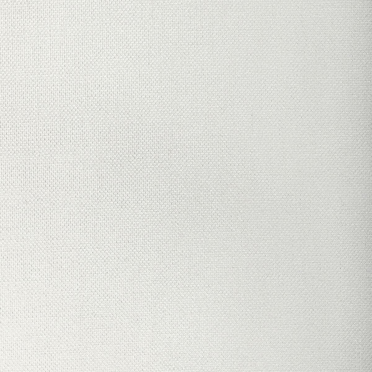 kravet-basics-33120-111-fabric