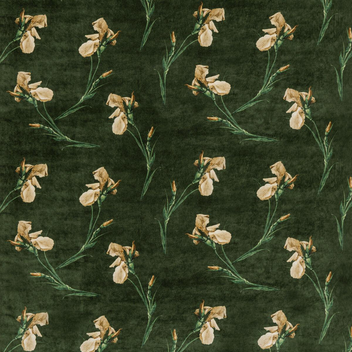 baker-iris-emerald