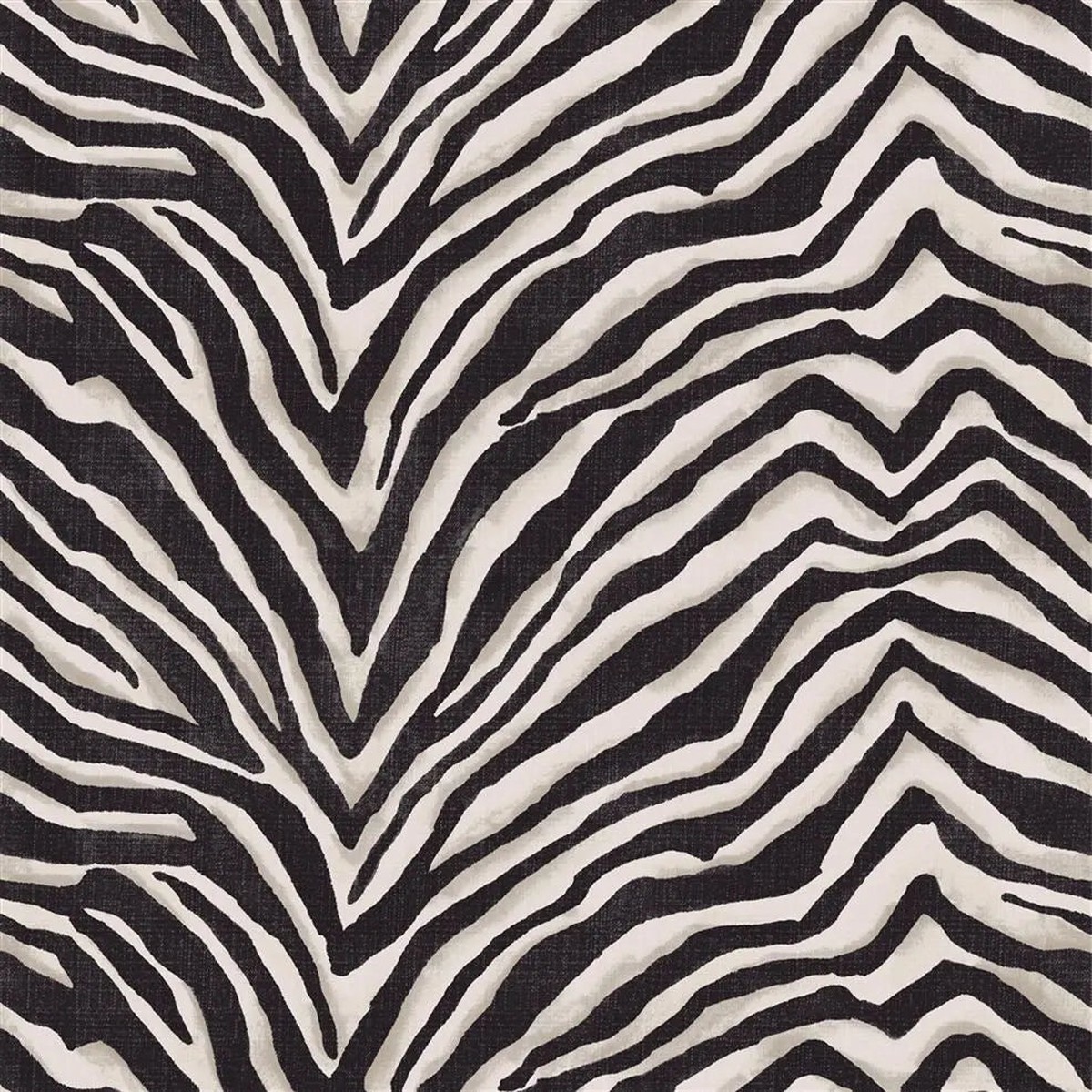 terranea-zebra