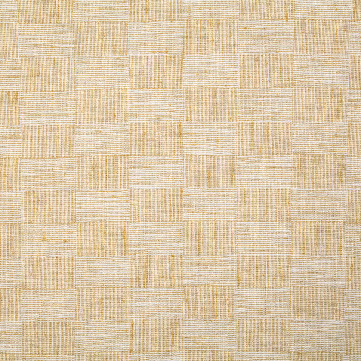 7541-jax-sunshine-pindler-fabric