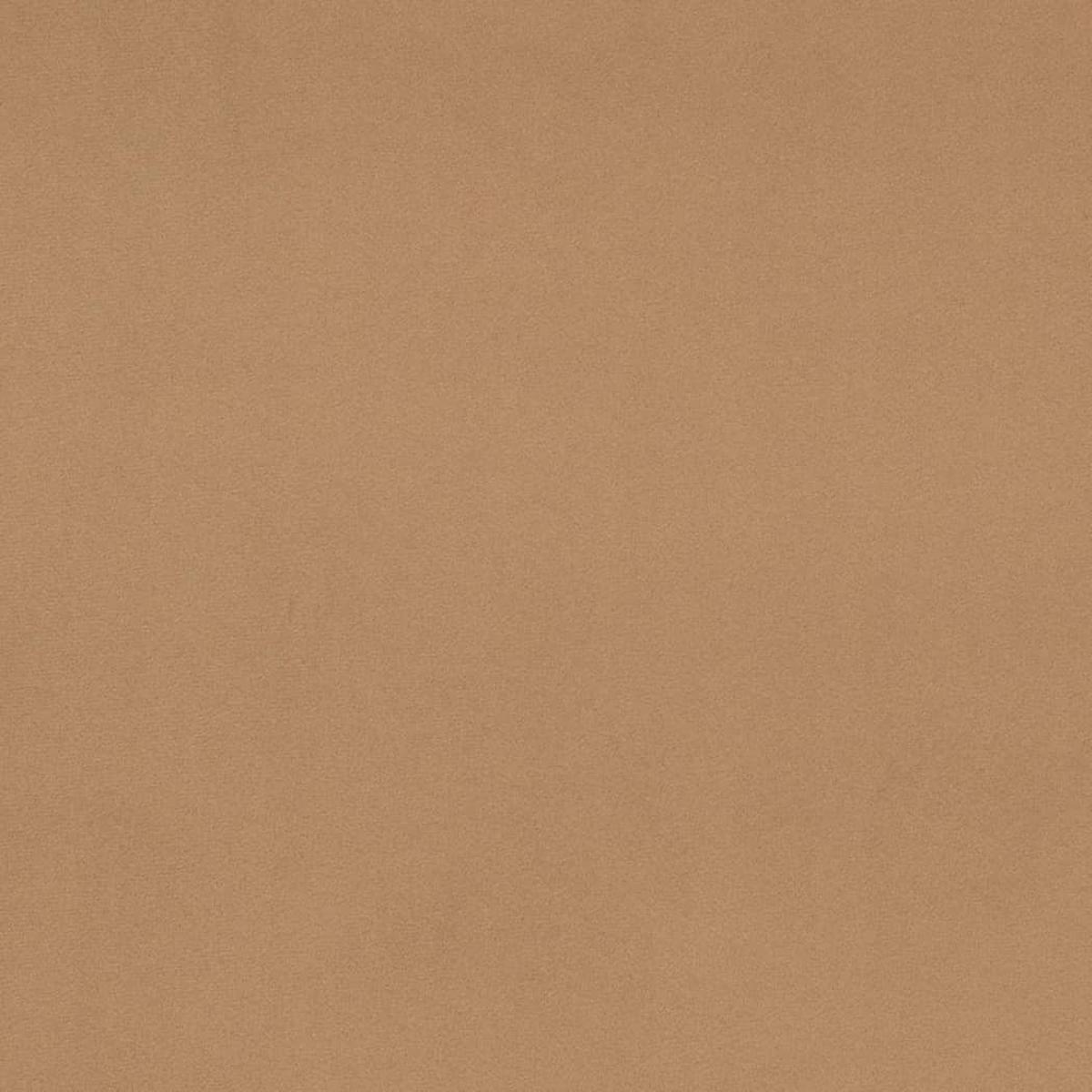 d4512-fawn