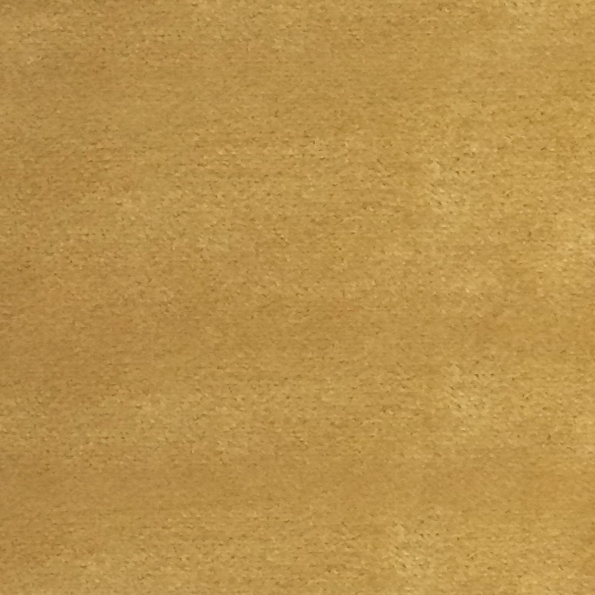 sucesso-wide-width-velvet-honey-by-scalamandre-fabric