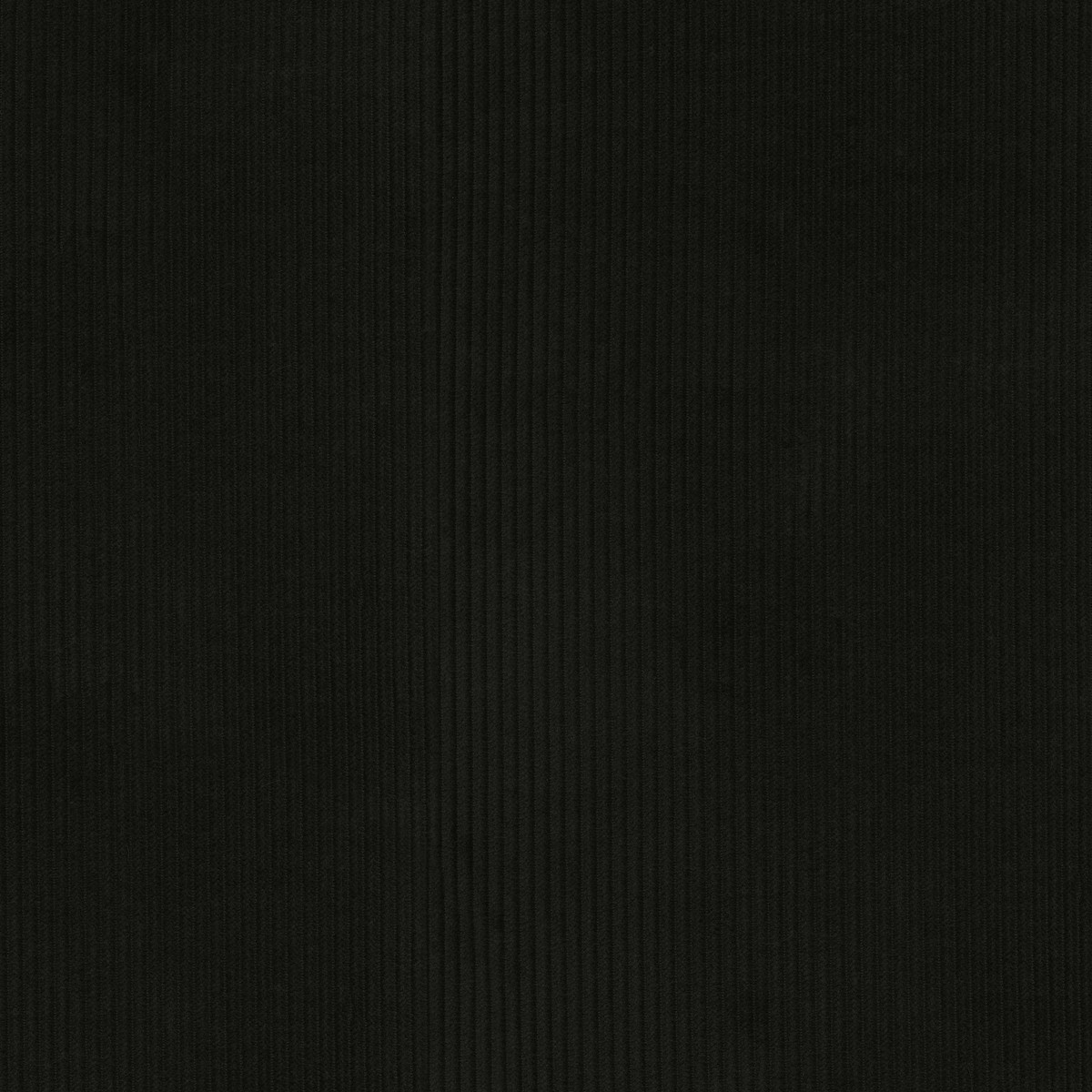 wales-black-p-k-lifestyles-fabric