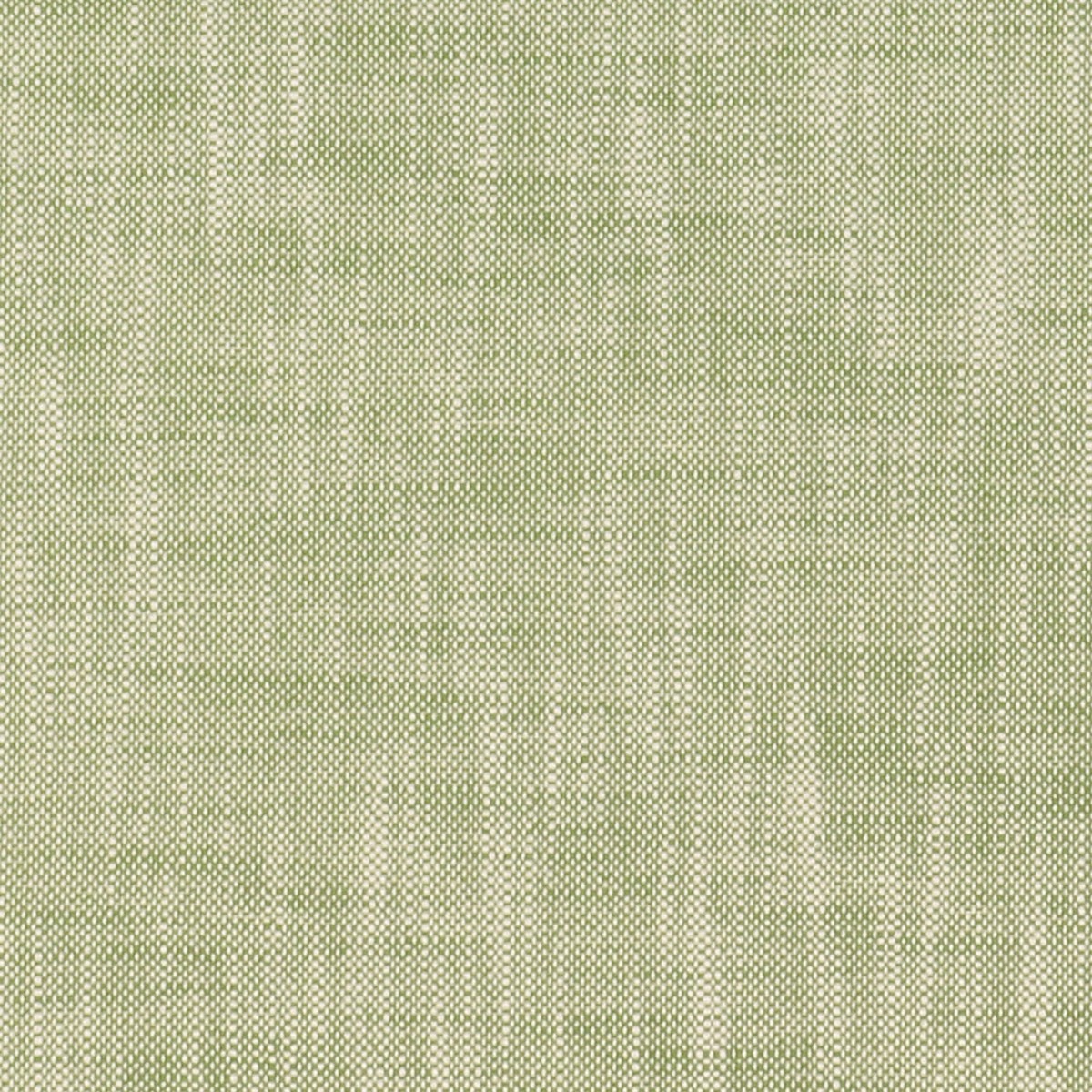 montrose-inside-out-3-gecko