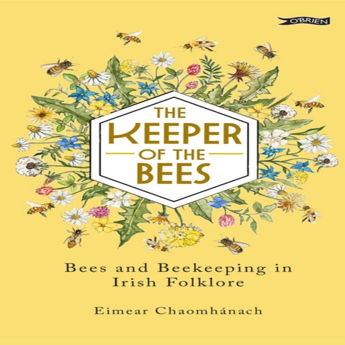 the-keeper-of-the-bees-by-eimear-chaomhanach
