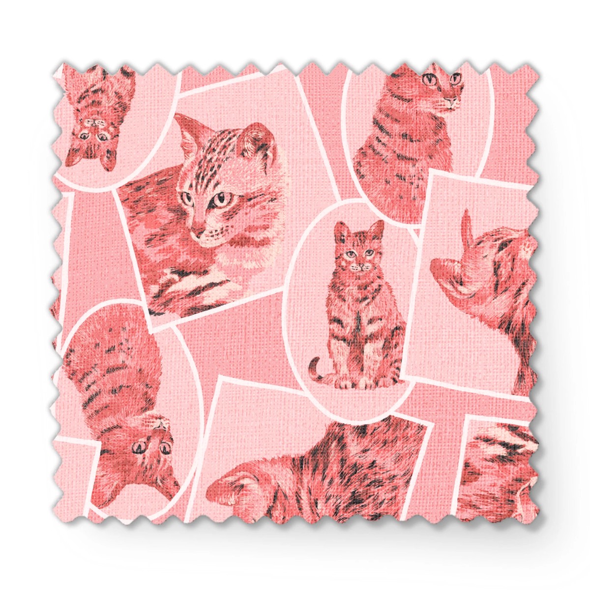 cat-frames-on-pink-fabric
