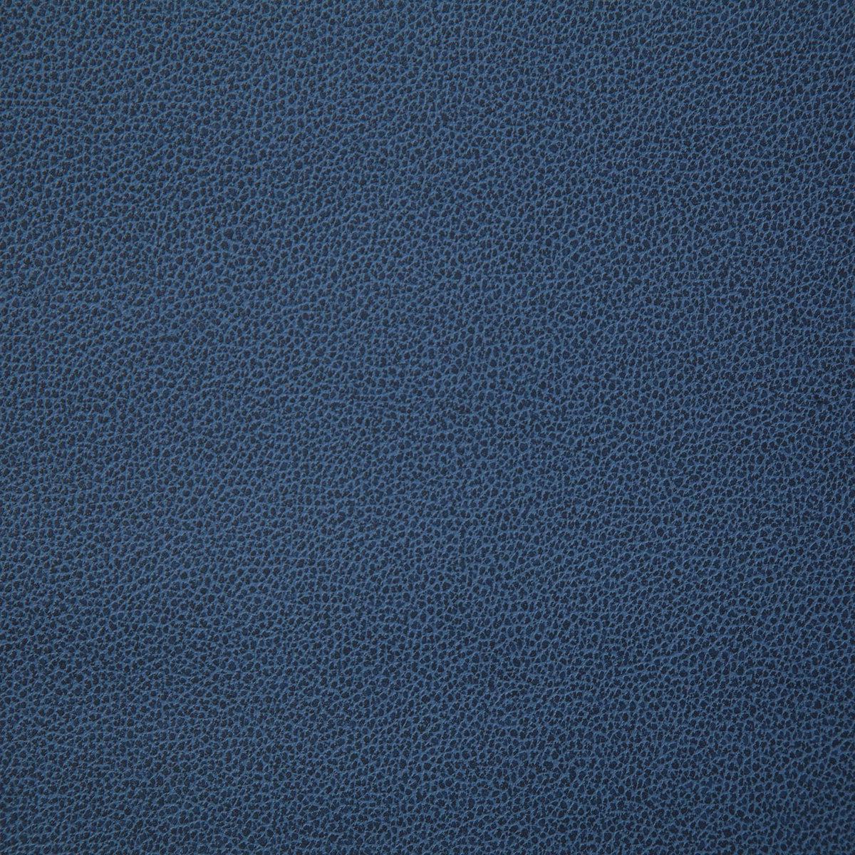 8078-lasso-harbor-pindler-fabric