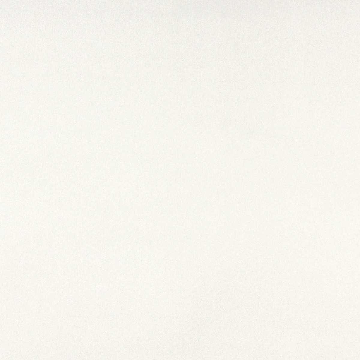 3856-white