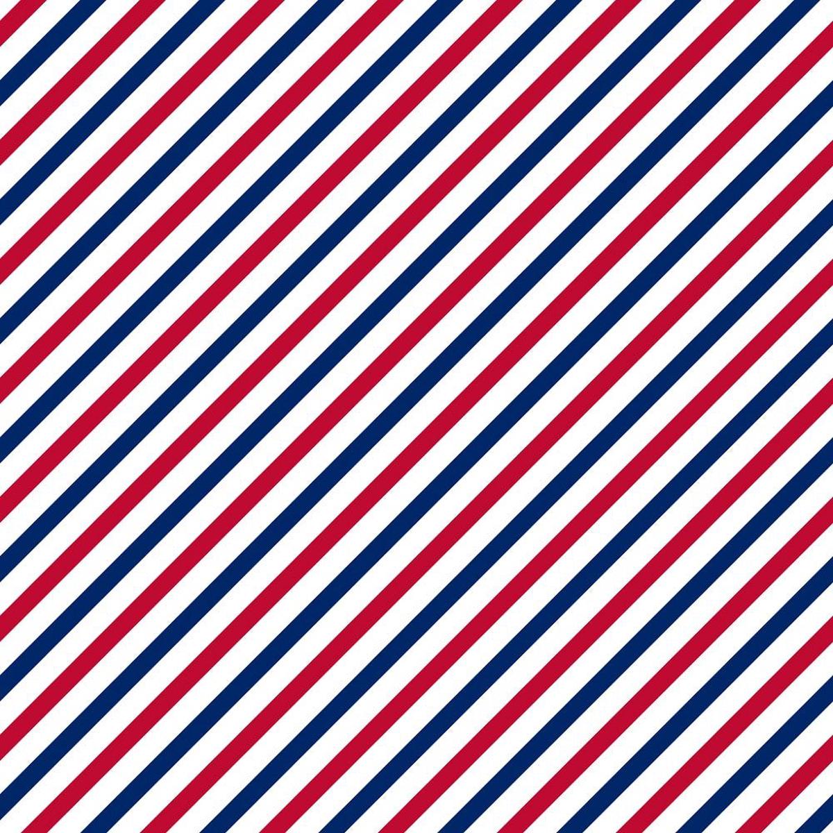 diagonal-stripe-fabric-patriotic
