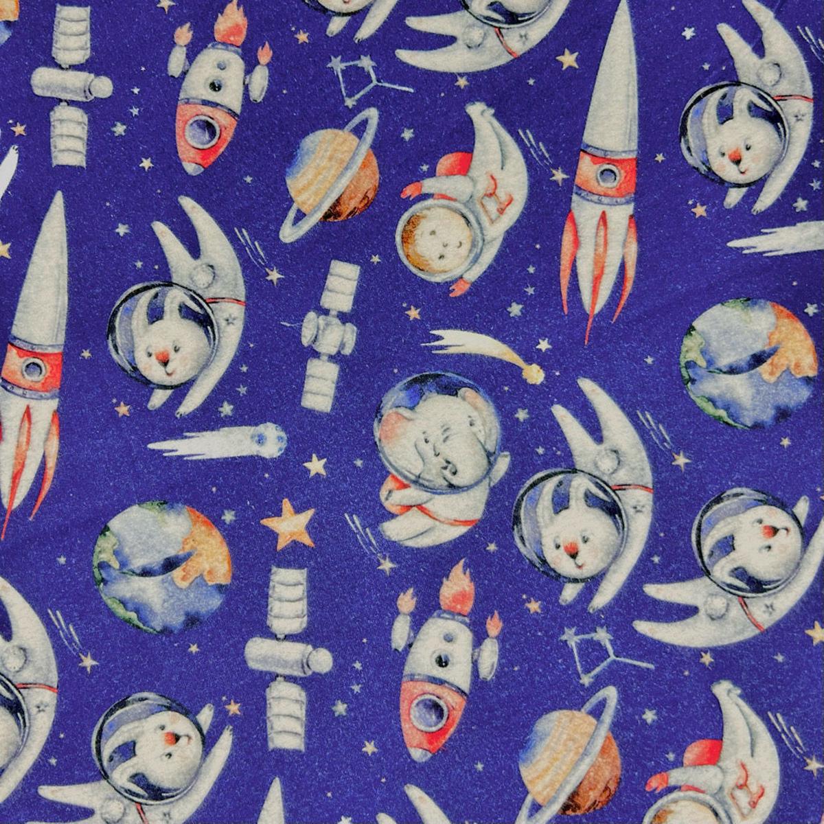 rocket-ride-brushed-cotton-fabric