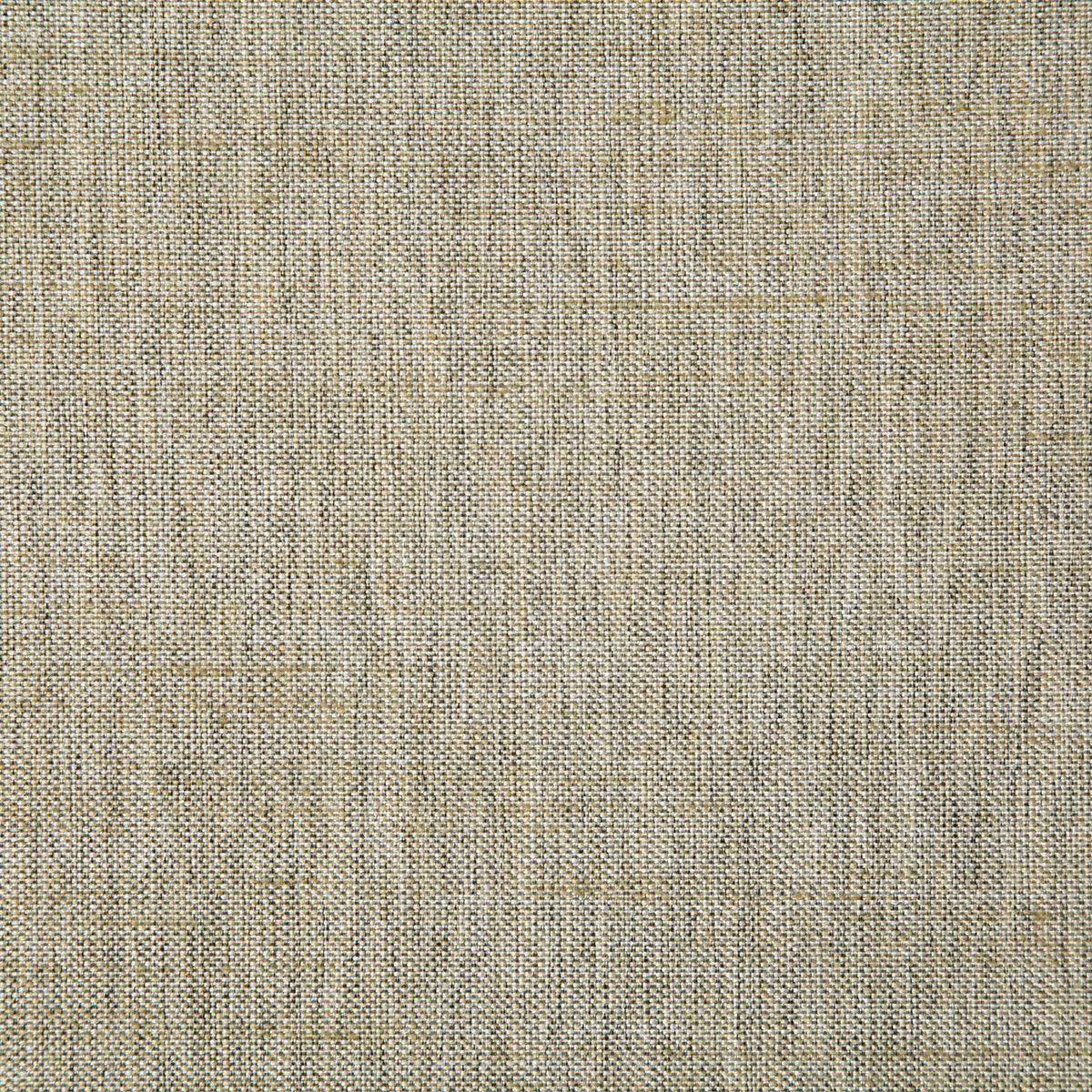 7232-beck-birch