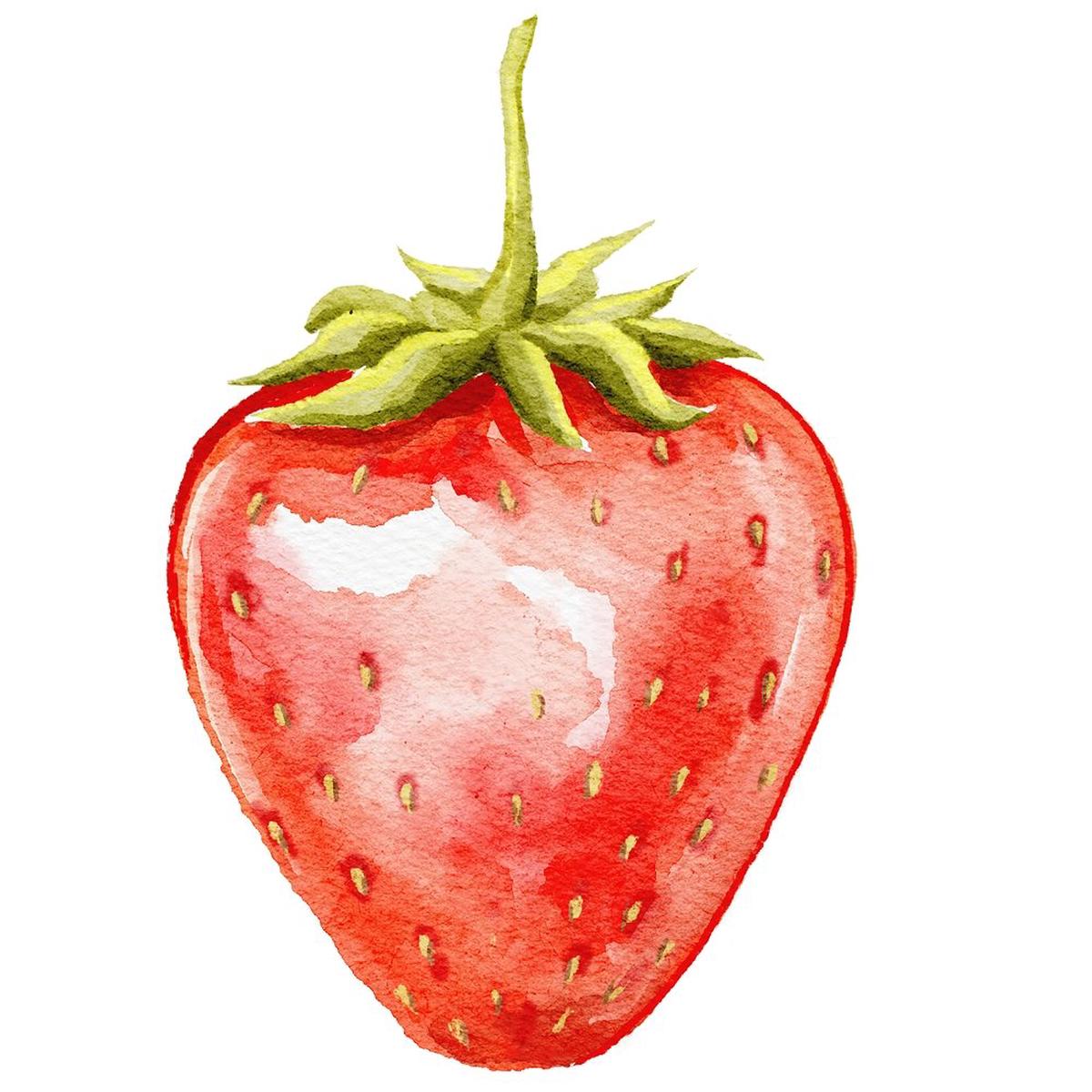 little-critters-summer-fun-strawberry-fabric-panel
