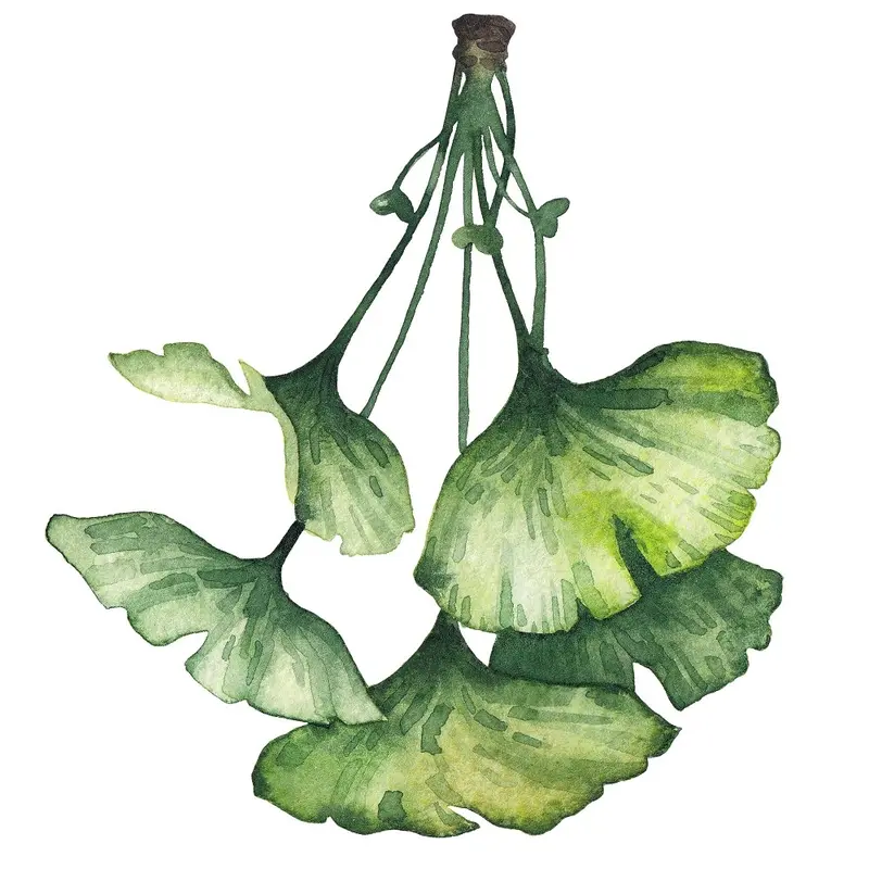 watercolor-ginkgo-biloba-style-2-fabric-panel