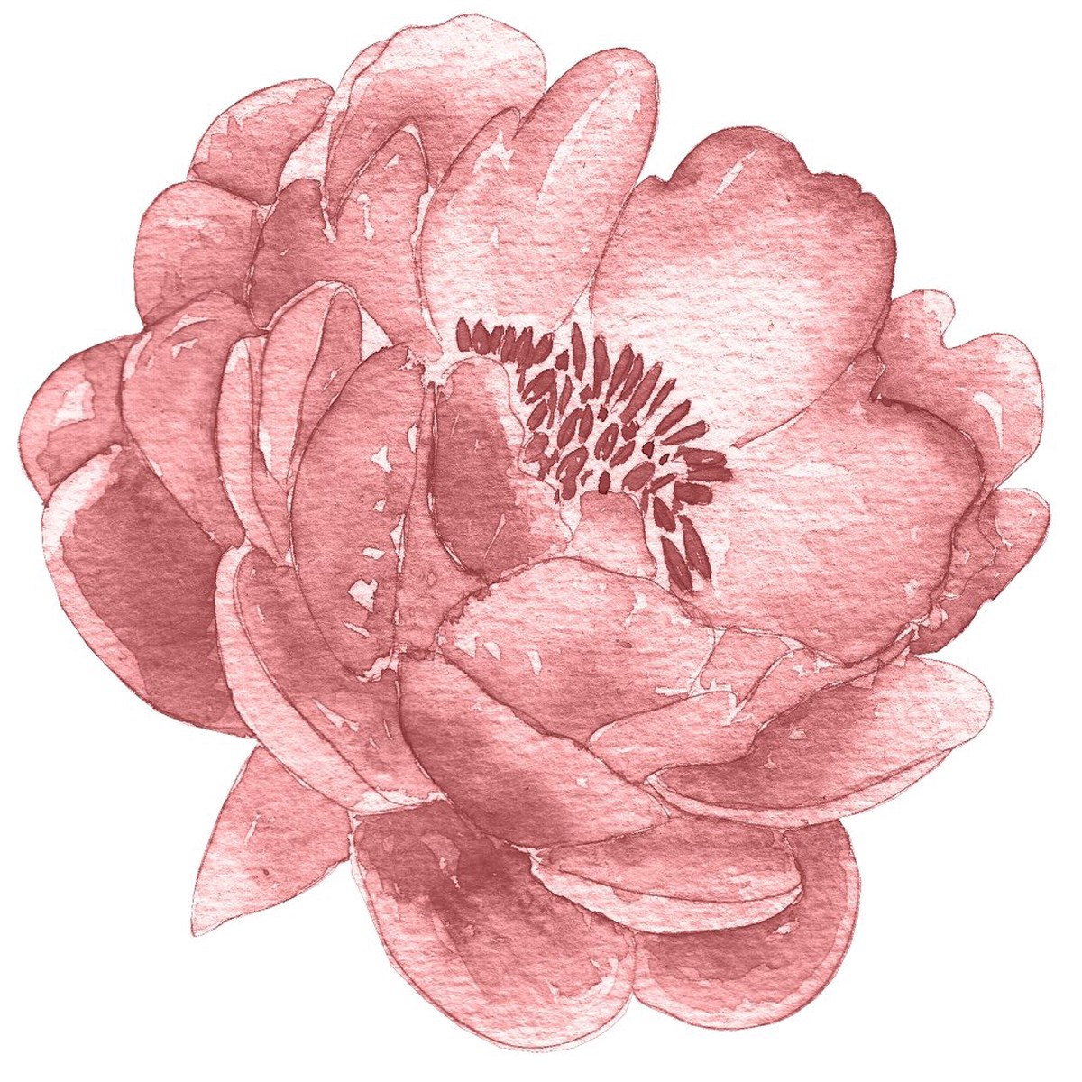 beautiful-ballerina-peony-fabric-panel-rose