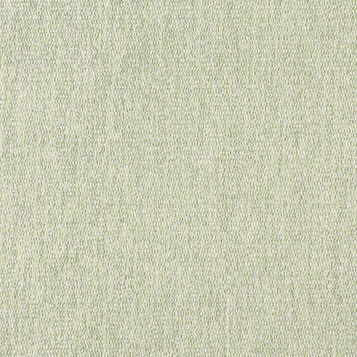 arroyo-aloe-fabric