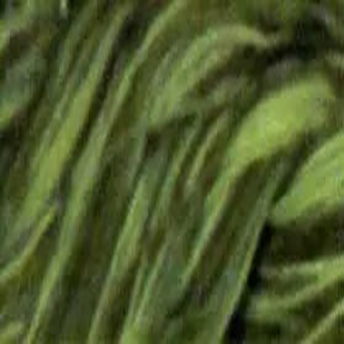 cotton-quilting-thread-variegated-3000yd-olive-hues