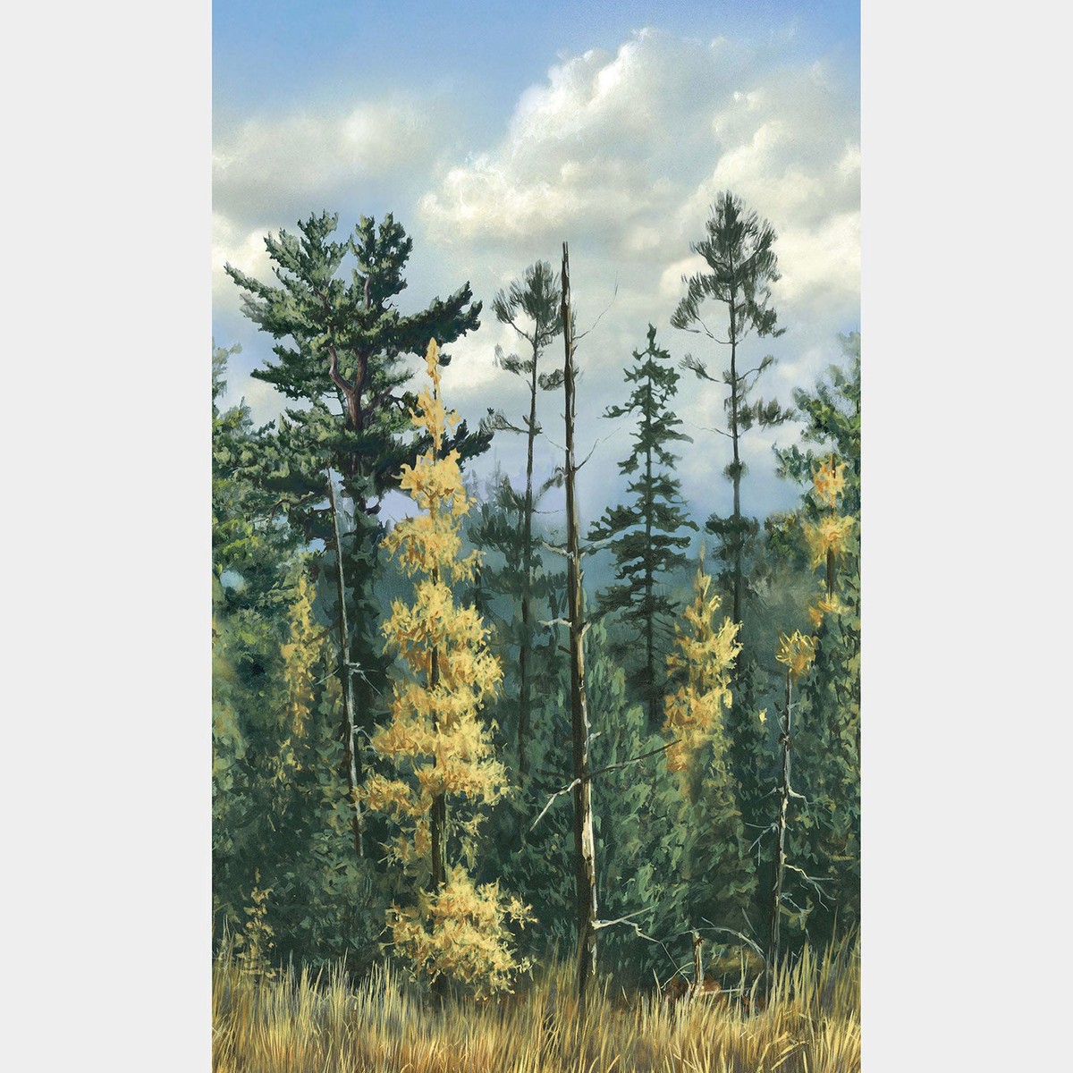 naturescapes-northwood-trees-border-green-multi-yardage