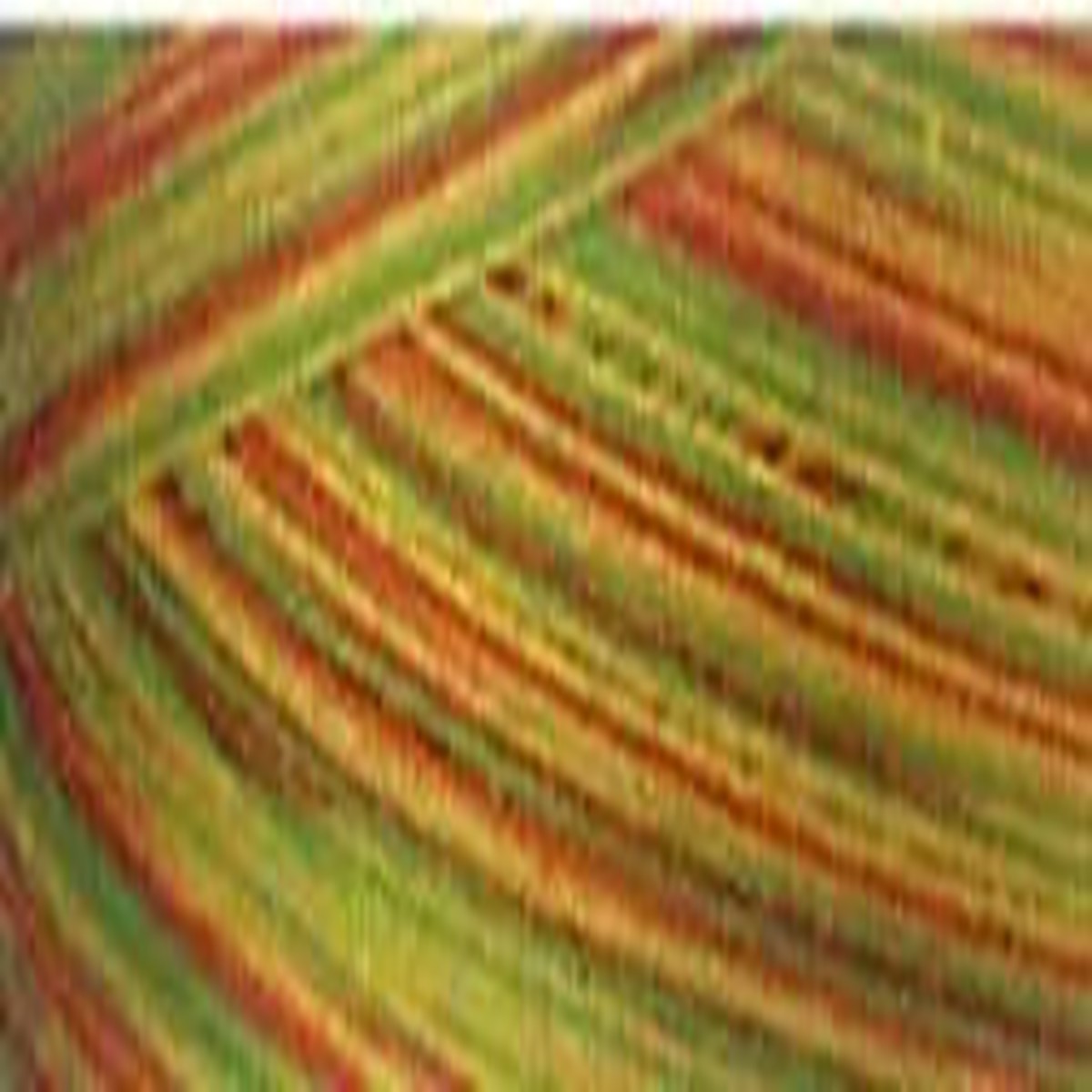 cotton-quilting-thread-3-ply-40wt-3000yds-variegated-citrus