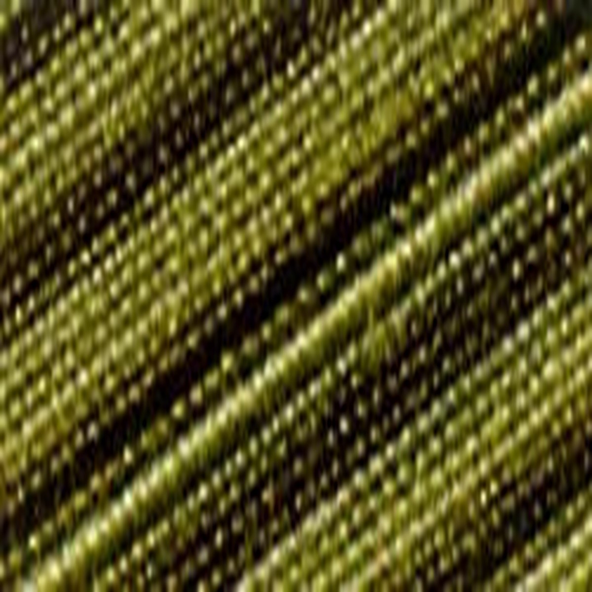 cotton-quilting-thread-3-ply-40wt-3000yds-variegated-grassy-greens