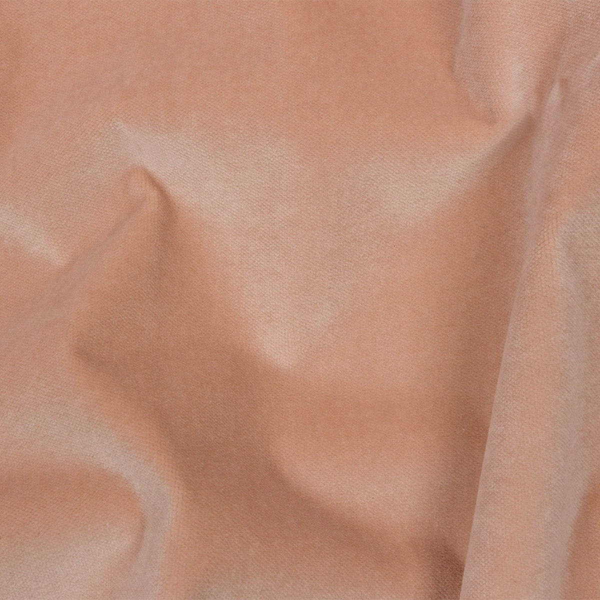 rosewater-cotton-velvet