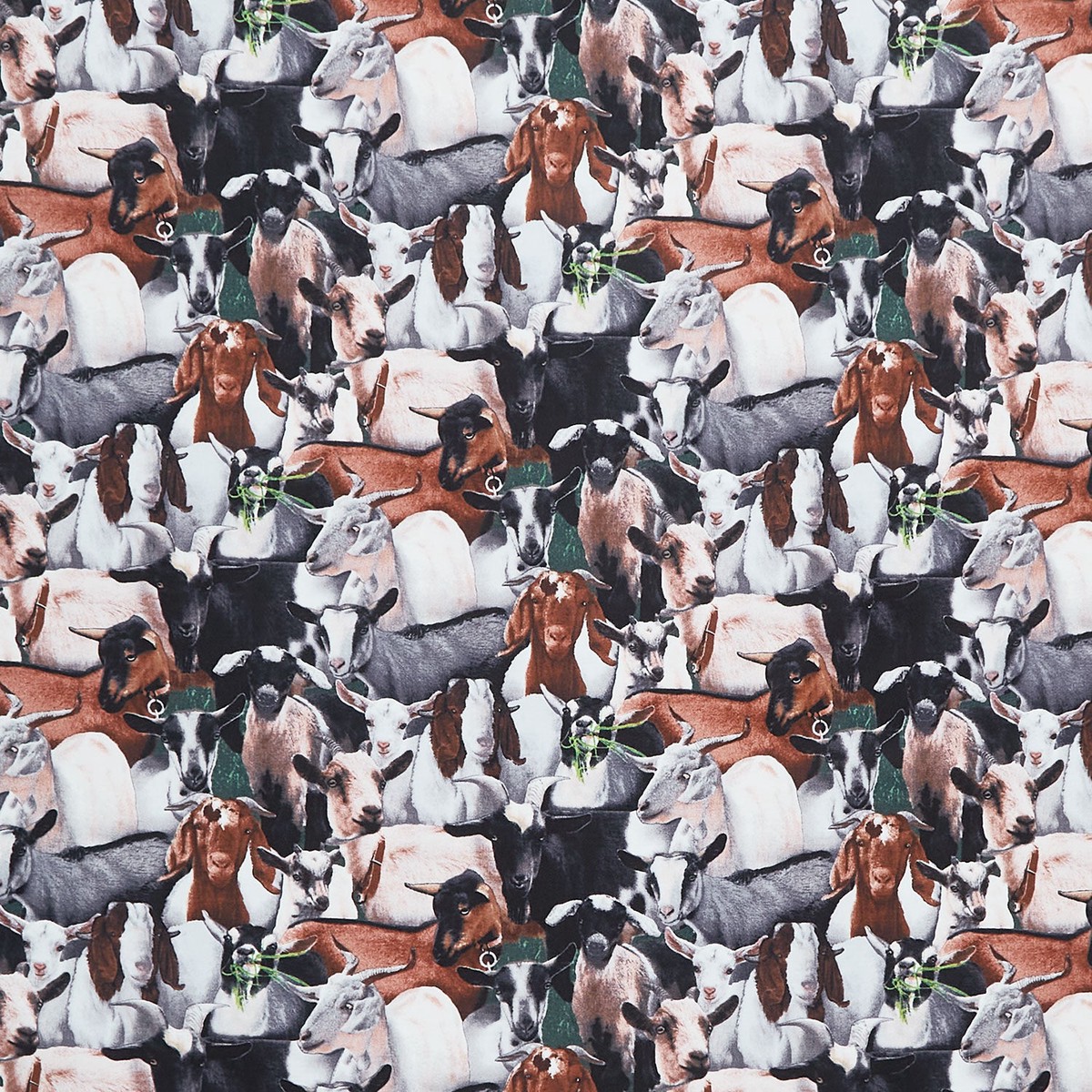 farm-packed-goats-black-yardage