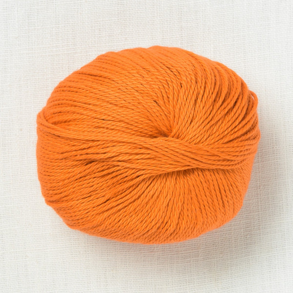 pascuali-cumbria-311-turmeric
