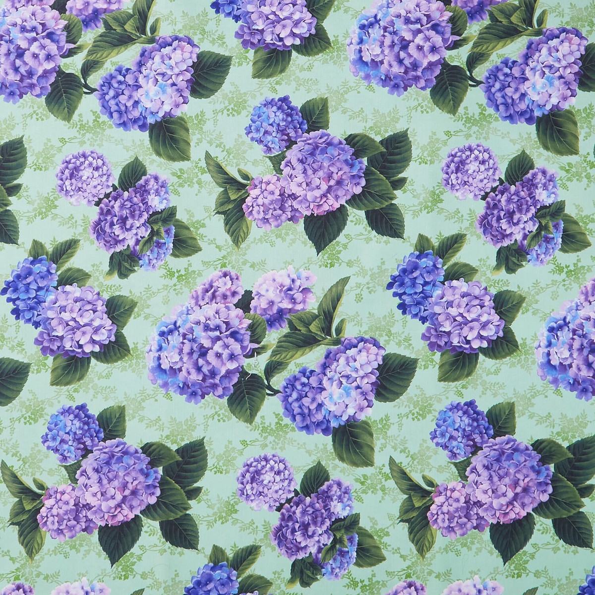 hydrangea-grace-hydrangeas-green-yardage