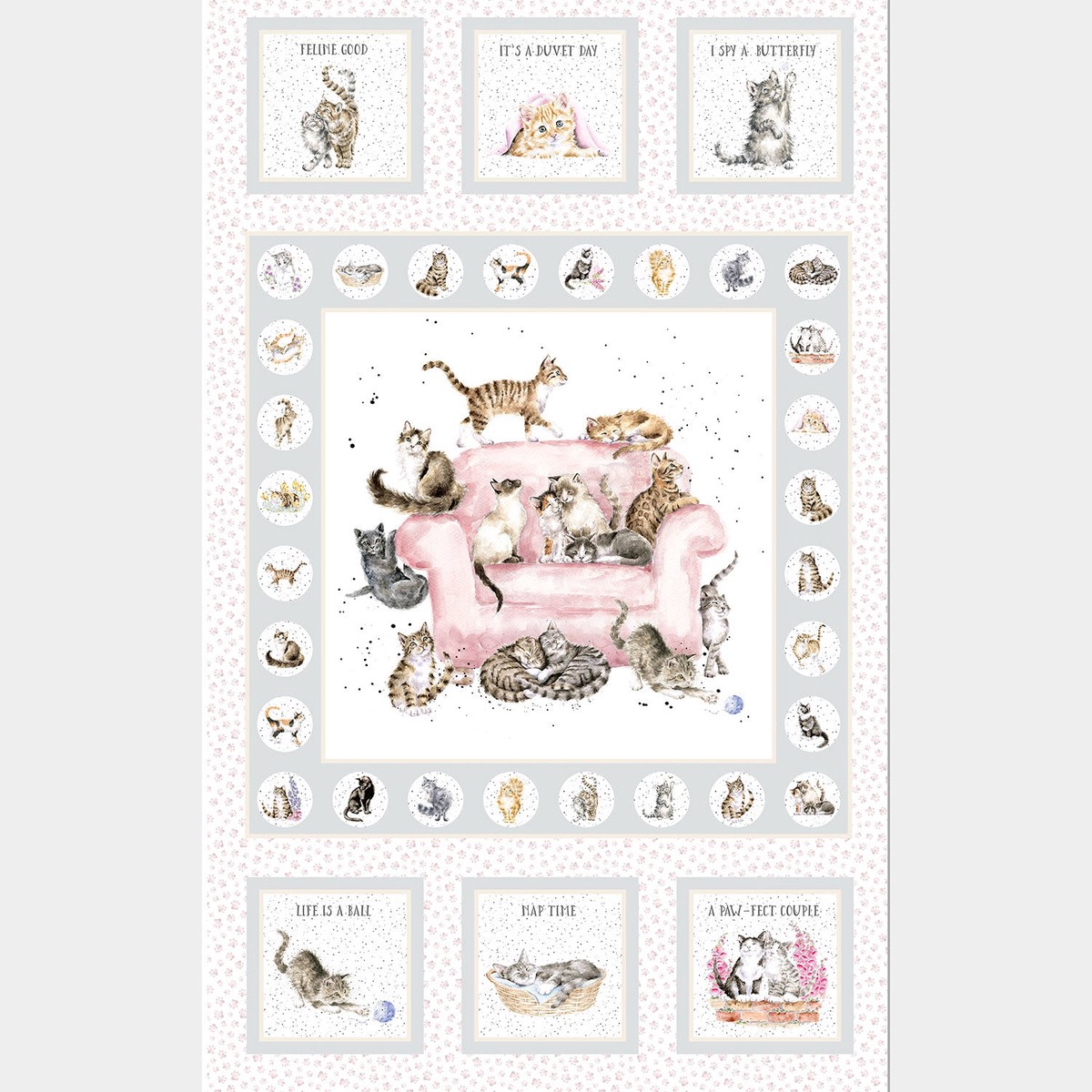 whiskers-paws-cat-grey-panel