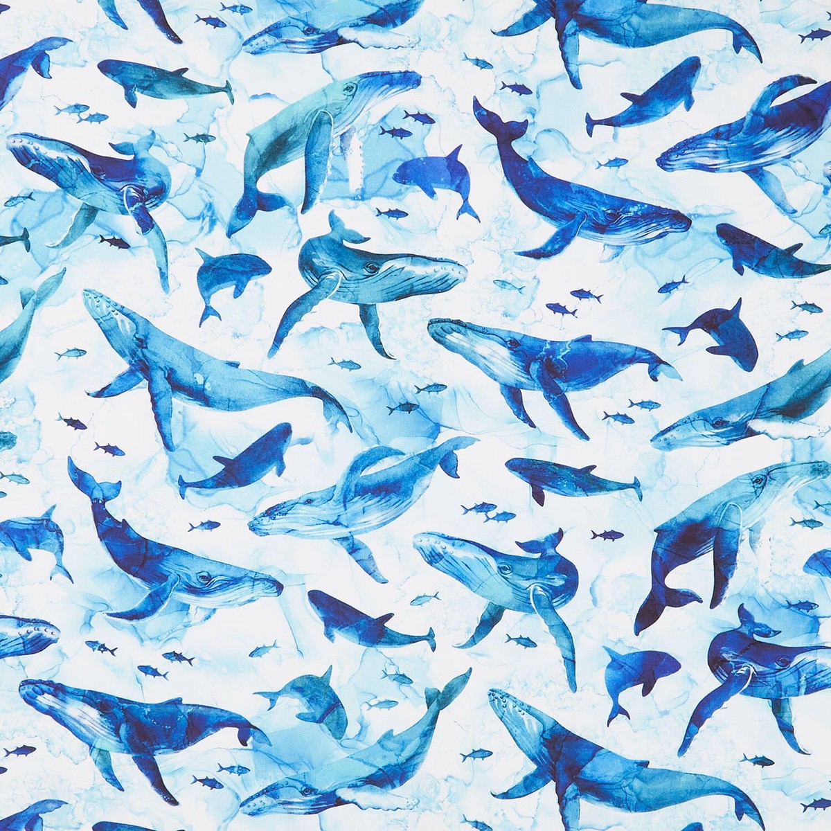 deep-blue-whales-white-multi-yardage