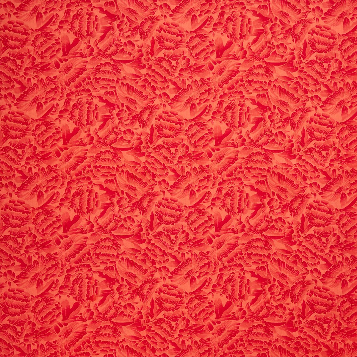 florique-118-tonal-florique-flowers-red-wide-backing