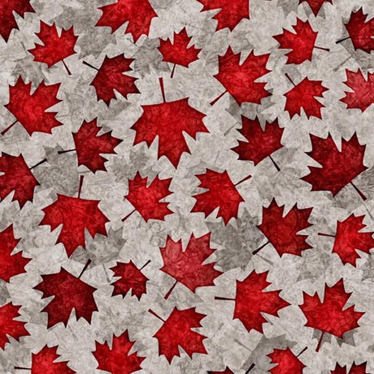 the-great-white-north-leaves-grey-pre-cuts