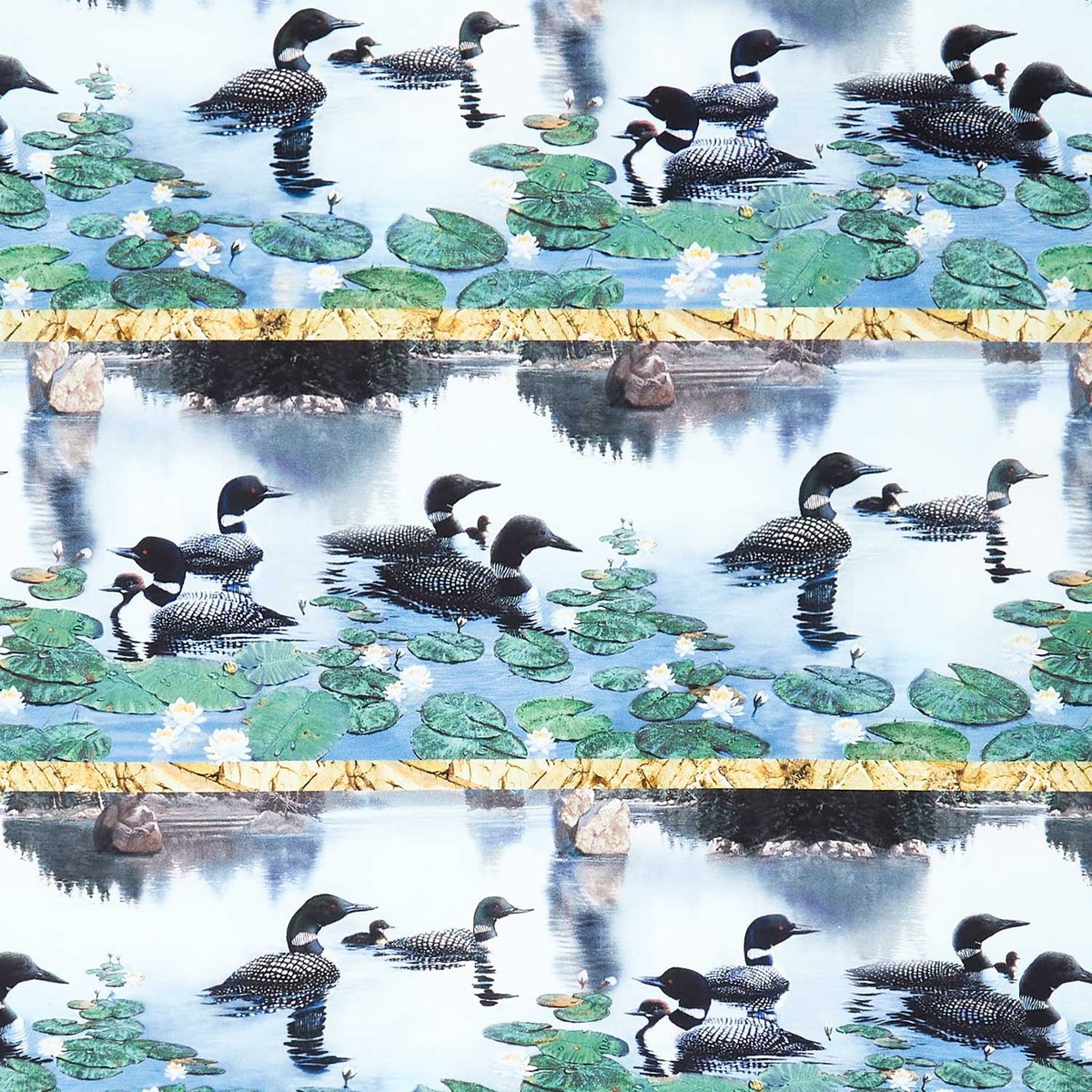 naturescapes-still-waters-loon-border-stripe-multi-yardage