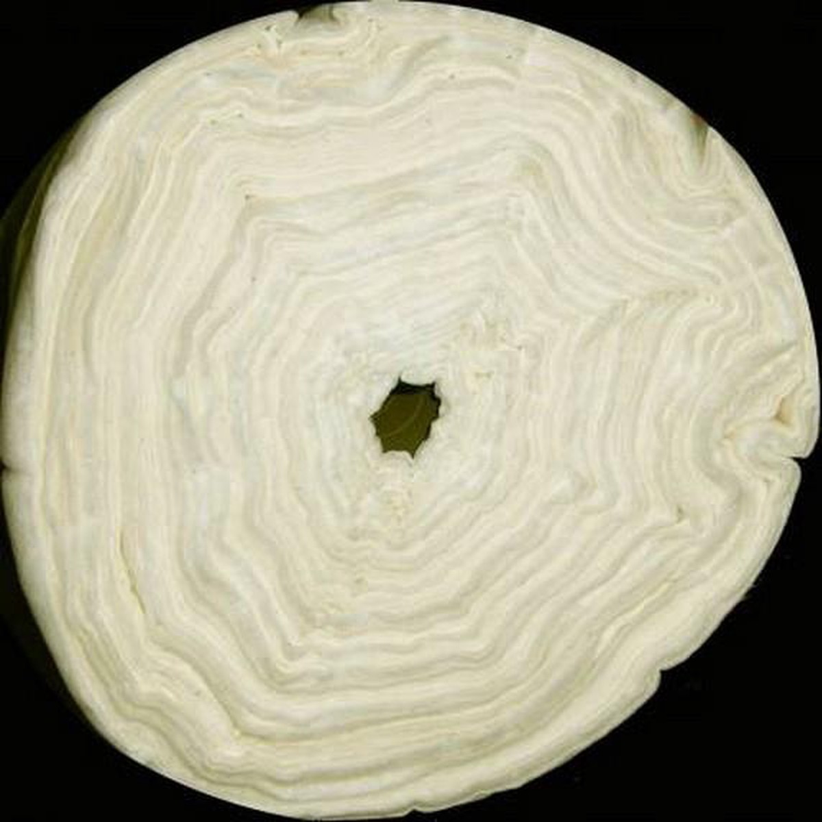 hobbs-batting-heirloom-premium-80-20-unbleached-blend-120-wide