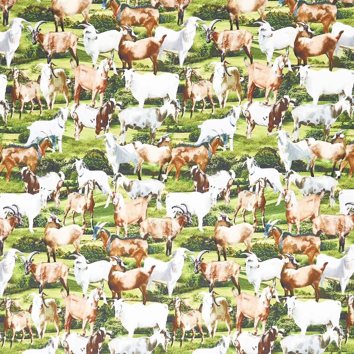 novelty-goats-green-yardage