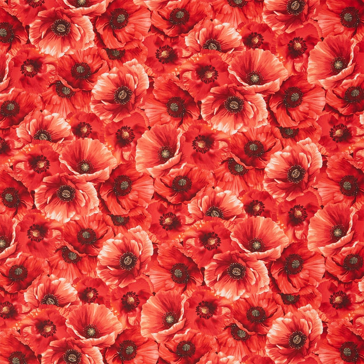 poppy-passion-packed-poppies-poppy-yardage