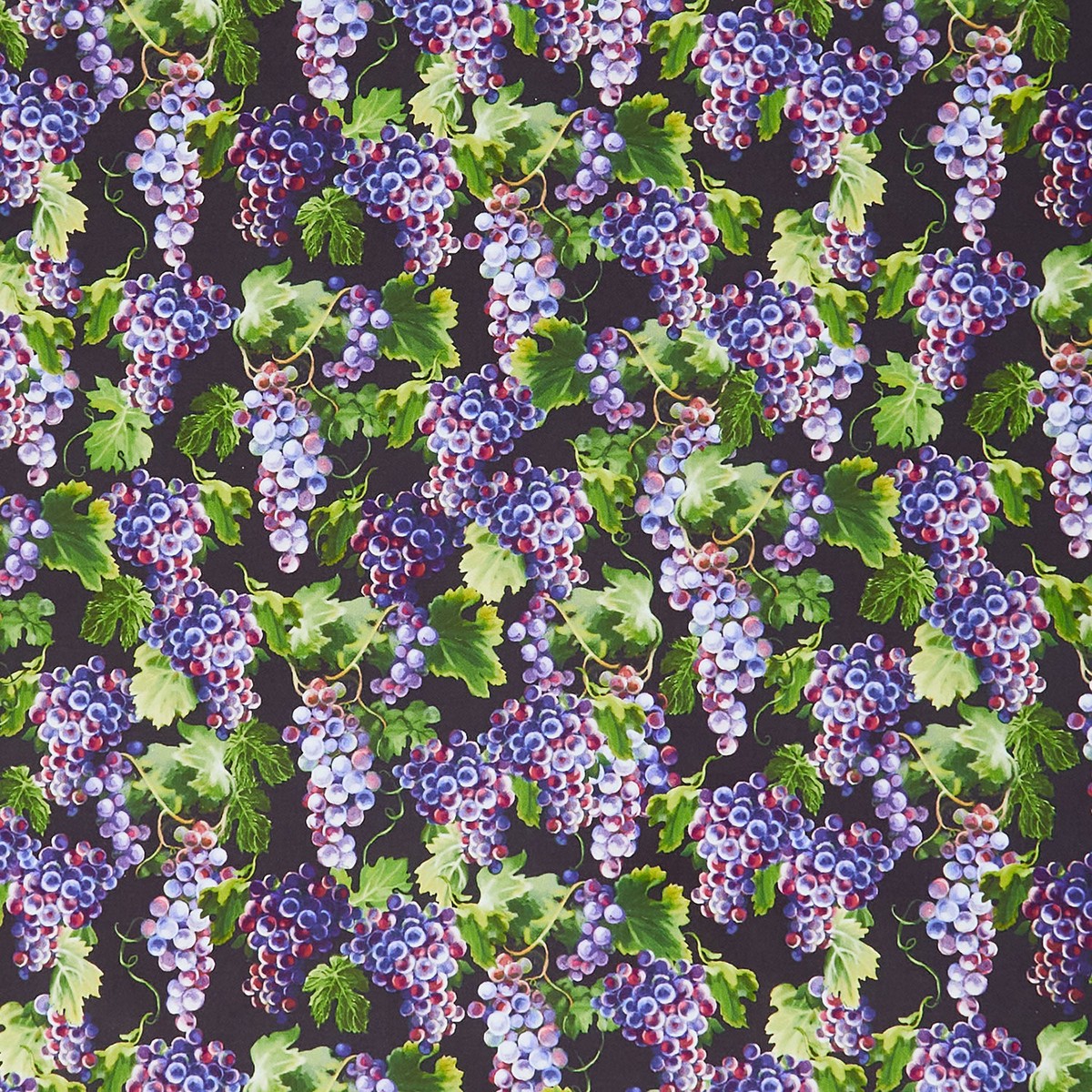 novelty-grapes-vines-black-yardage