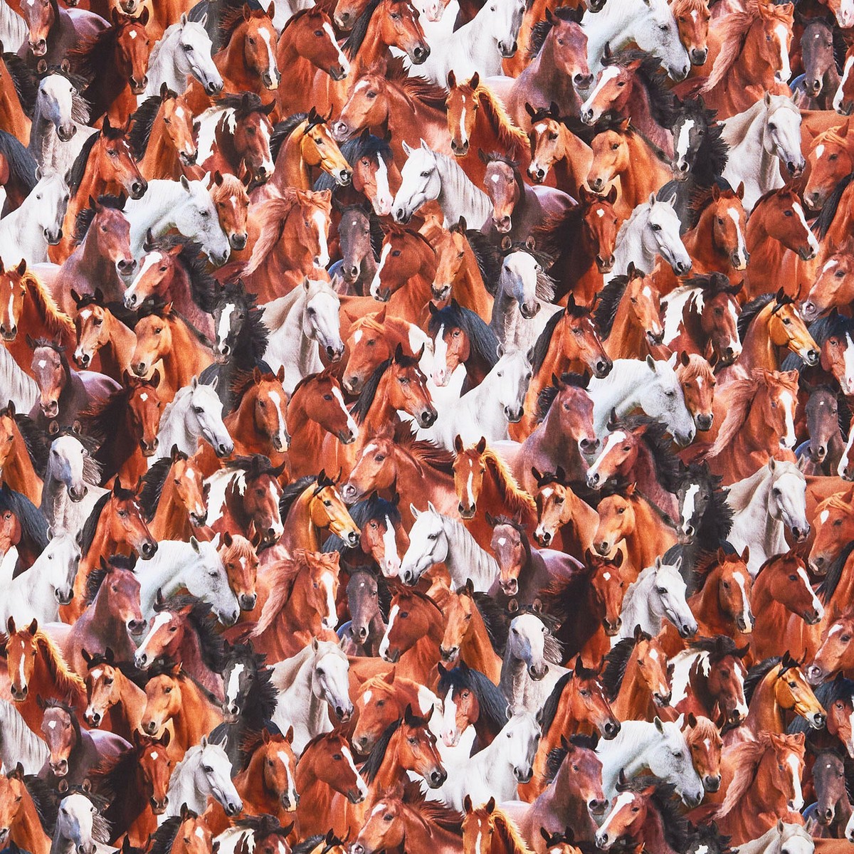 home-on-the-range-packed-horses-brown-yardage