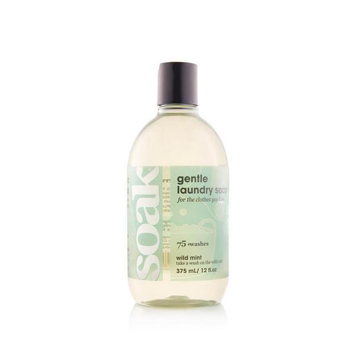 soak-wash-375-ml-wild-mint