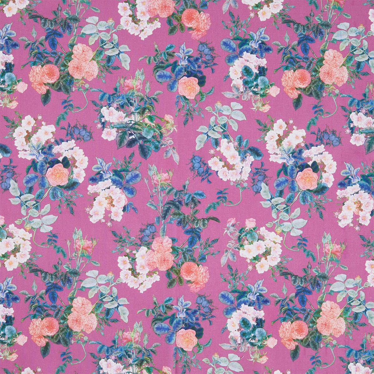 rosa-rose-blossoms-purple-yardage